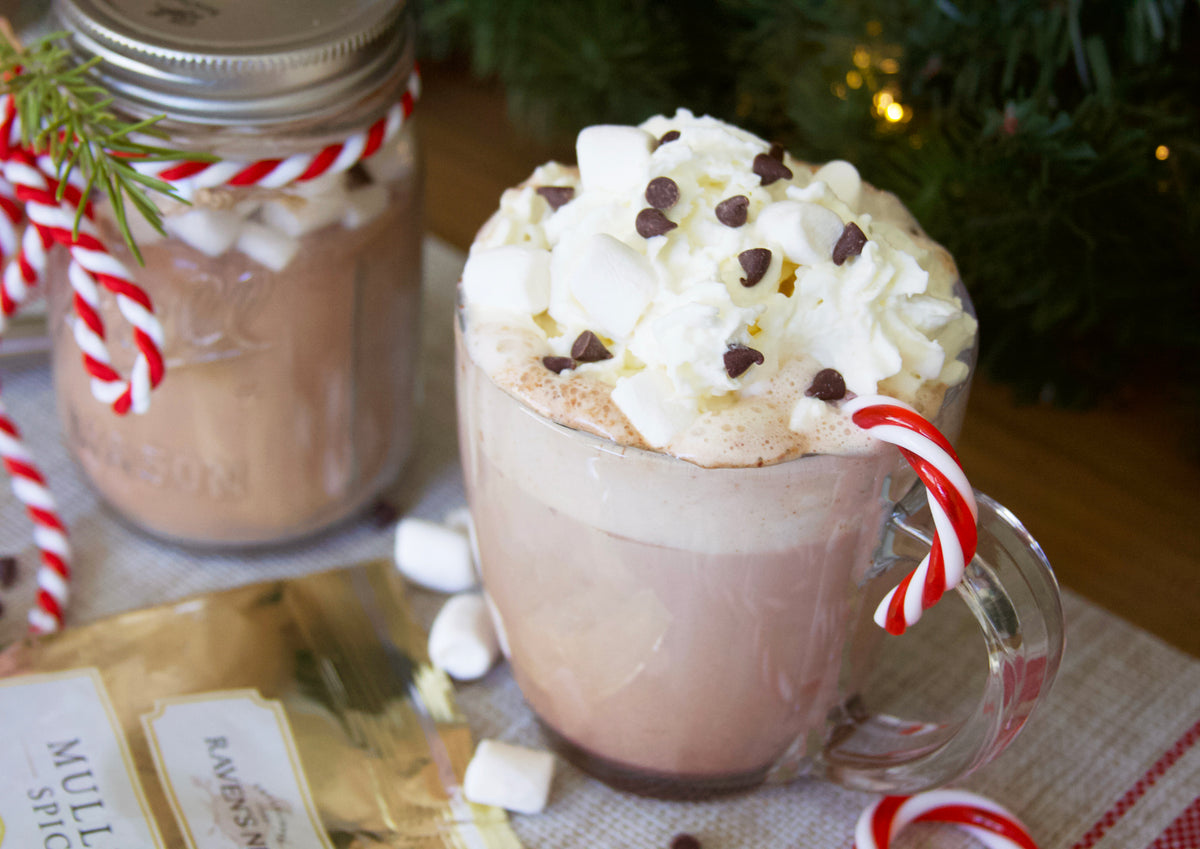 Mug of hot cocoa with candy cane and mulling spice