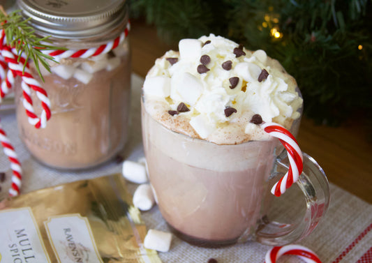 Mug of hot cocoa with candy cane and mulling spice